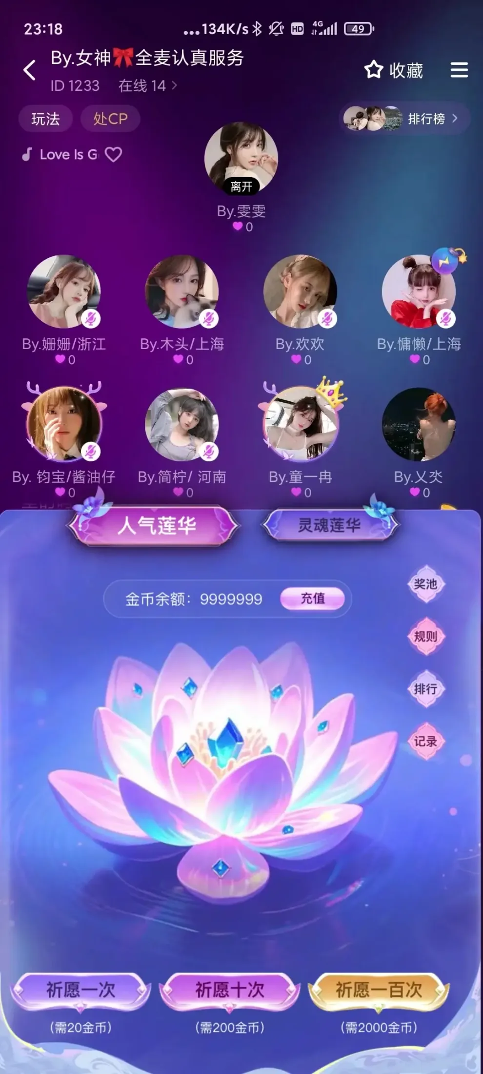 人气莲花展示图